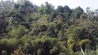 View point