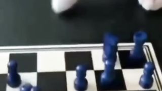 Cats with a special mindset.