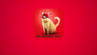 Смешные коты #188.