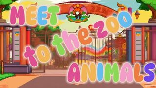 ????Meet the Zoo Animals????