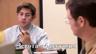 Почему Совы Так Спят Ты Никогда Не Видел Этих Животных Спящими.