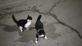 А что с ними дальше будет.