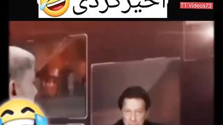 Amazing ???? - ویڈیو بنانے والے نے اخیر کردی #shorts #viral #trending #tiktok #youtubeshorts #imrankhan