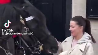 Royal Guard Horses know who to show sensitivity to