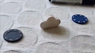 No way! He trained a fly?