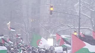 Montreal_ Canada. Jan 14_ 2024. _fyp _watermelon _greenscreen(