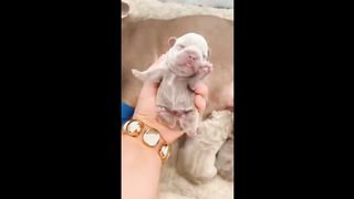CUTE ANIMALS!!!!!!!