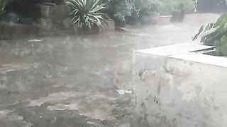 Rain in the morning