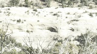 ???????? I CAN'T Believe I Found This With My Drone!