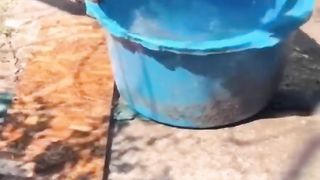 Funny animal