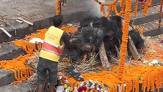 Amazing videos vol 558