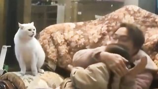 funny videos of Pja