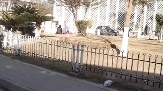 PIMS HOSPITAL ISLAMABAD #islamabad /Children's ward/Beauty of pakistan/sohailT22vlog