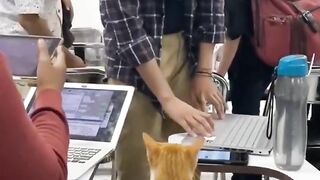 Si Oyen memang beda