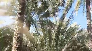 #oman