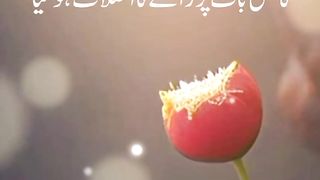 پیارے نبی کی پیاری باتیں