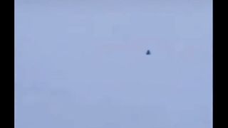 The falcon is a peregrine falcon capable of reaching speeds of almost 400 kilometers per hour