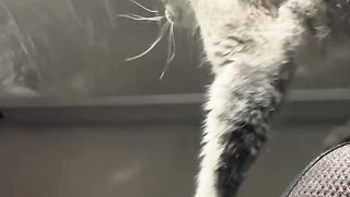 Обследование кабины и все таки нашел способ залезть на второй спальник теперь