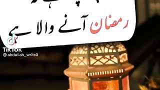 Funny tiktok new 2024