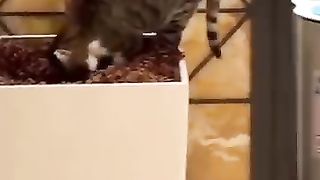 ???? Доброе утро через три.. два.. один