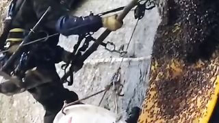 funny videos of Pja
