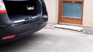 Funny video
