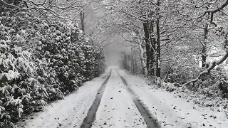 snow fall in kashmir |romantic weather #viral #everyone