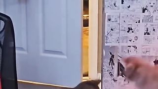 Cats Compilation Funny Video