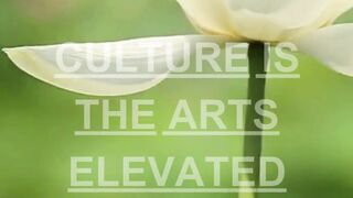 Quotes of the day #viral #quotes #life