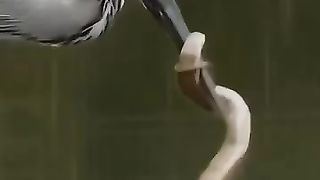 Heron Wildlife Zero....