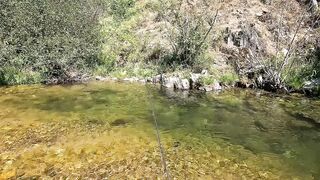 I lost count of how many fish were in this hole!