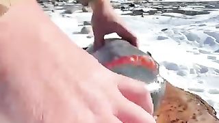 Grilled_fish_with_orange????(360p).