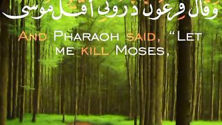 Qurani ayat#