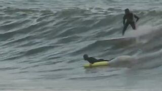Surfing with dolphins.