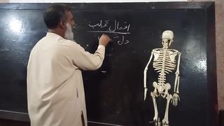 POWER OF HEART -  خون کو دھکا لگانے والی طاقت -  EJECTION  FRACTION