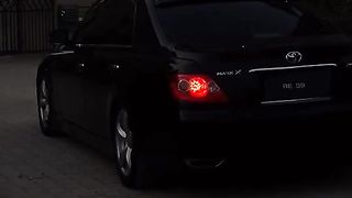 Beast... ????