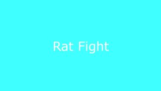 Top 5 Fight