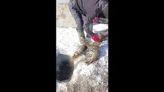 СЛУЧАИ НА РЫБАЛКЕ
