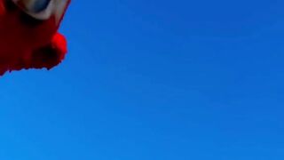 First day of freefly -
