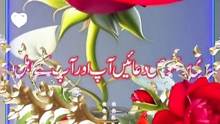 Beautlfull video Qurani verses shorts Video share