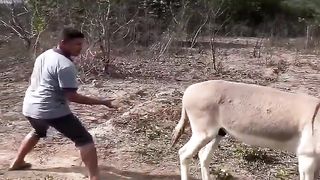 The guy is a twat and deserves all he gets. Moral of the story is don't torment animals.