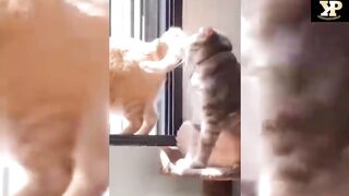 Enjoy this video