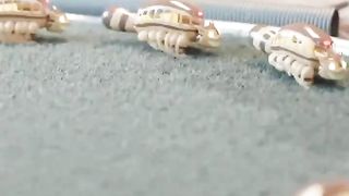 Zoetrope. A very interesting video.