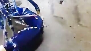 A rare blue lobster.