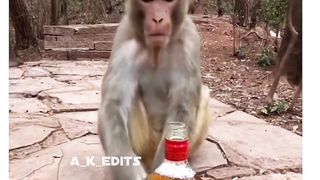 POWER OF 90 ML