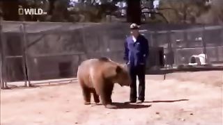 911 call Bear kills a man Warning graphic content.