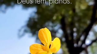 Nos temos pressa Deus tem planos!
