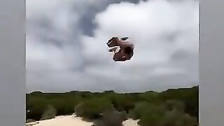Amazing videos