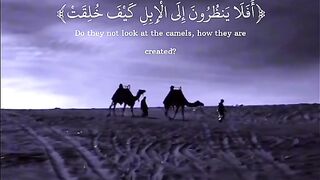 Quran