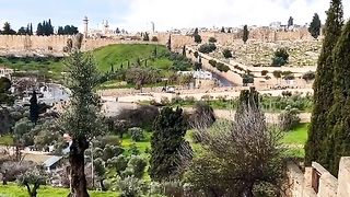 Holy land